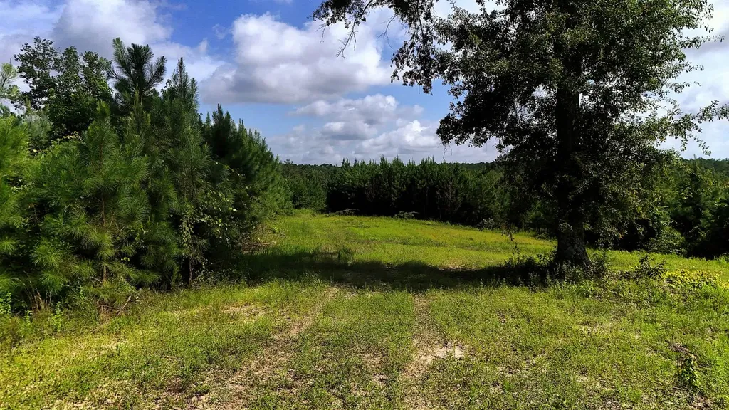 000 County Road 53 Banks AL 36005