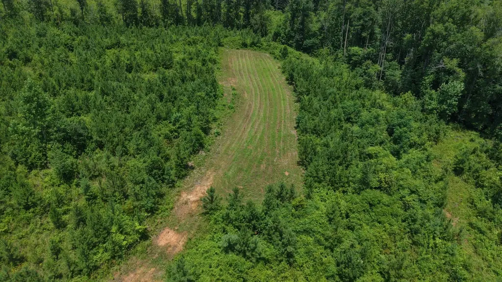 000 County Road 53 Banks AL 36005