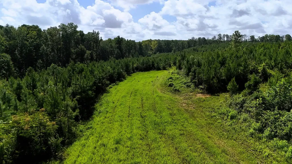 000 County Road 53 Banks AL 36005