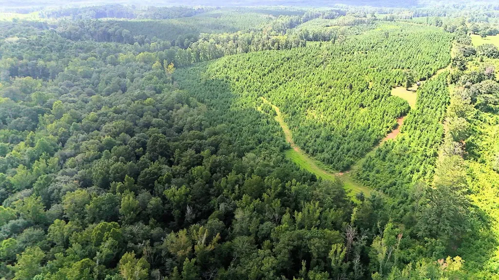 000 County Road 53 Banks AL 36005