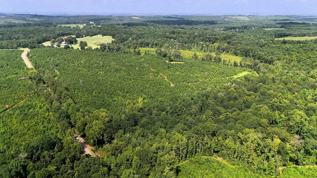 000 County Road 53 Banks AL 36005