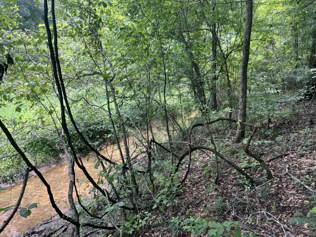 0 Grandview Drive Northport AL 35475