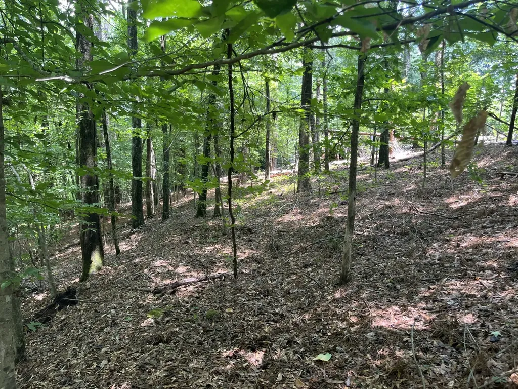 0 Grandview Drive Northport AL 35475