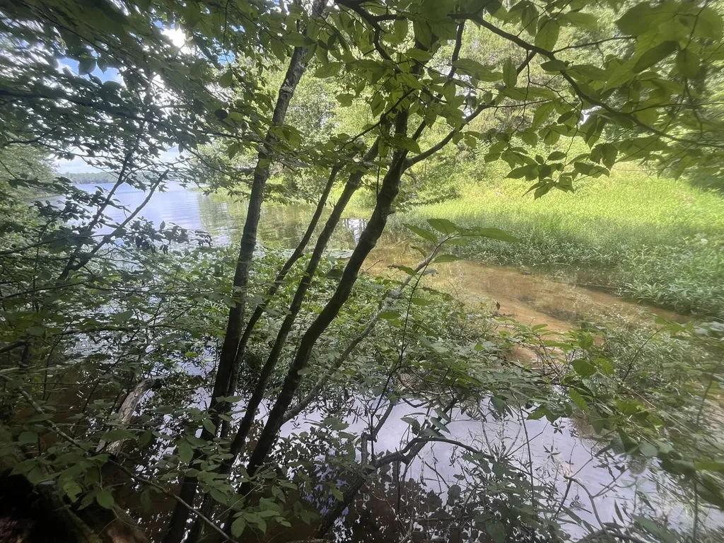 0 Grandview Drive Northport AL 35475