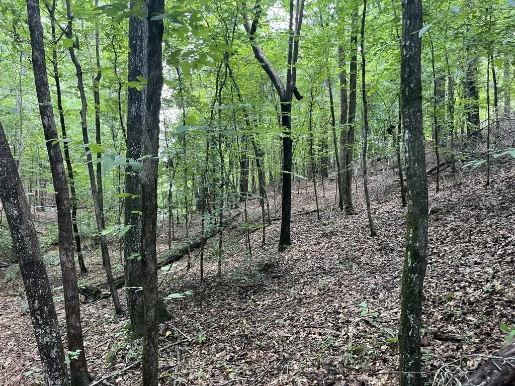 0 Grandview Drive Northport AL 35475