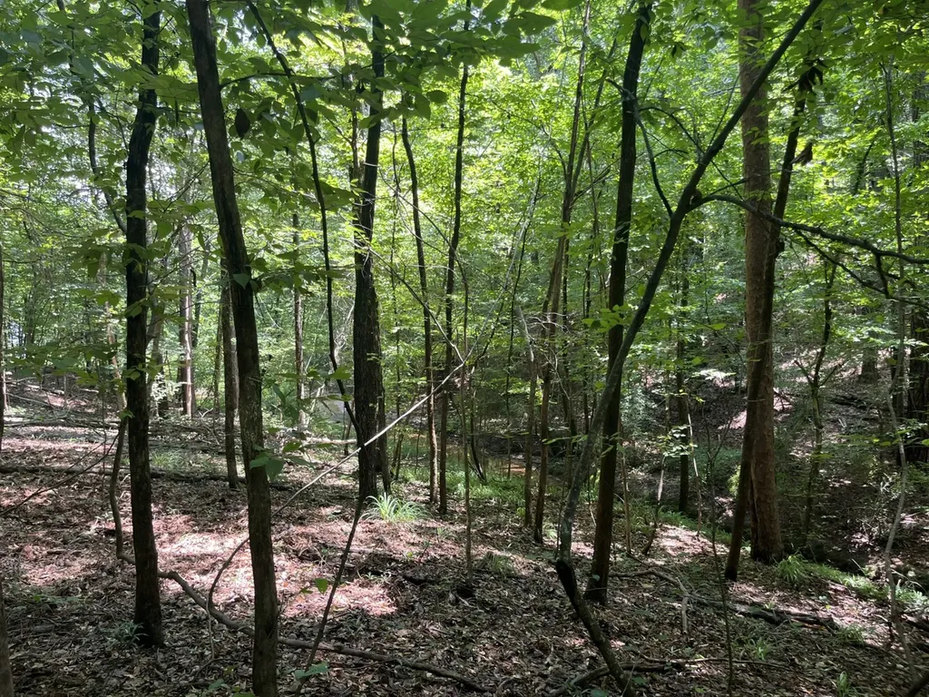 0 Grandview Drive Northport AL 35475