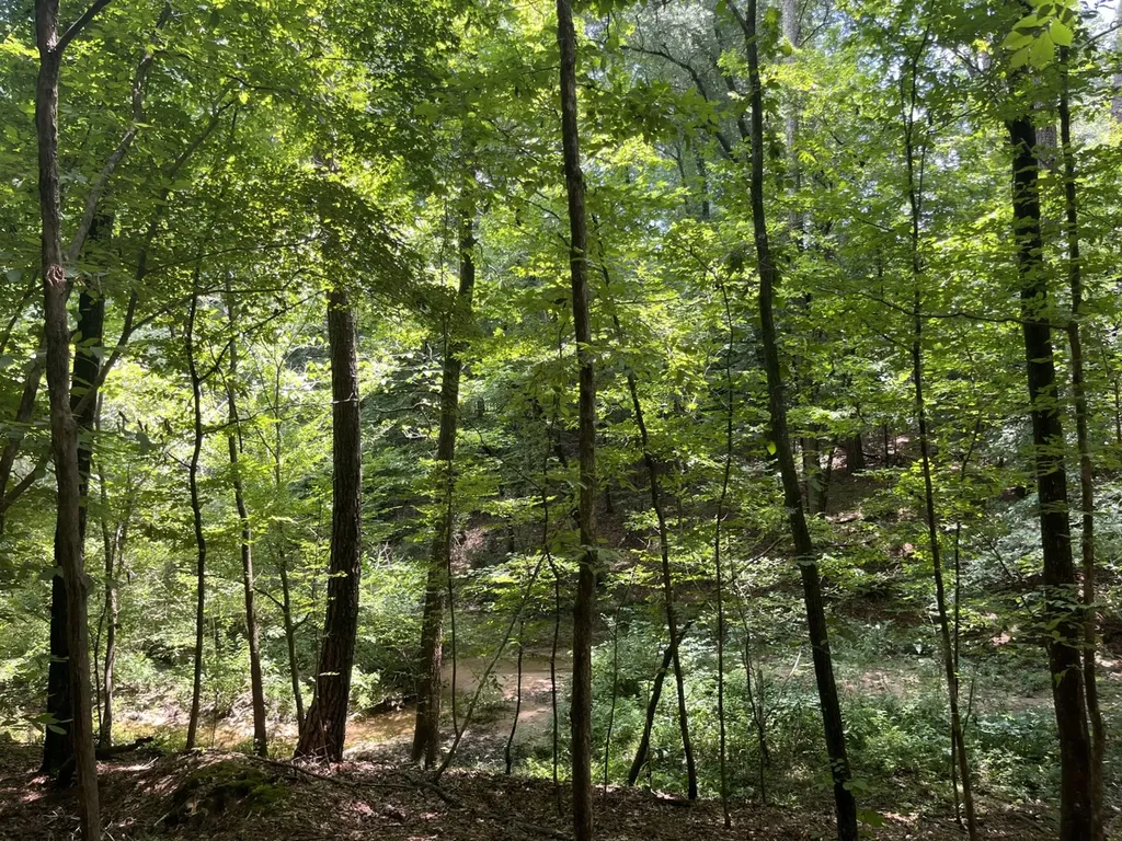 0 Grandview Drive Northport AL 35475
