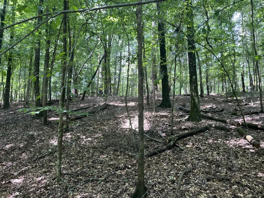 0 Grandview Drive Northport AL 35475