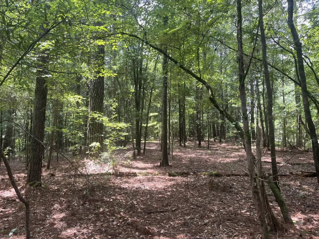 0 Grandview Drive Northport AL 35475