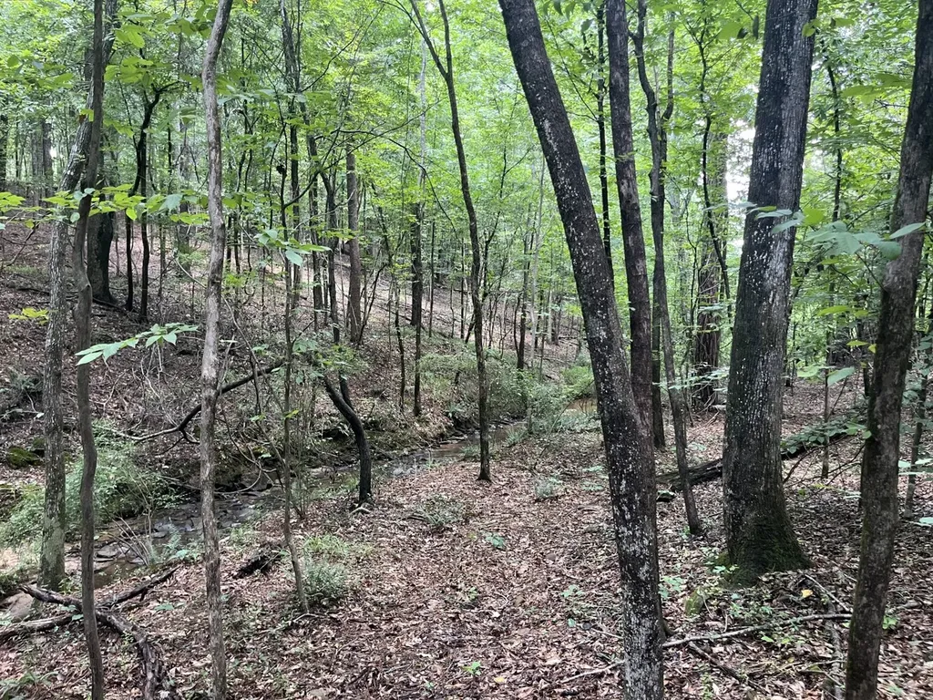 0 Grandview Drive Northport AL 35475