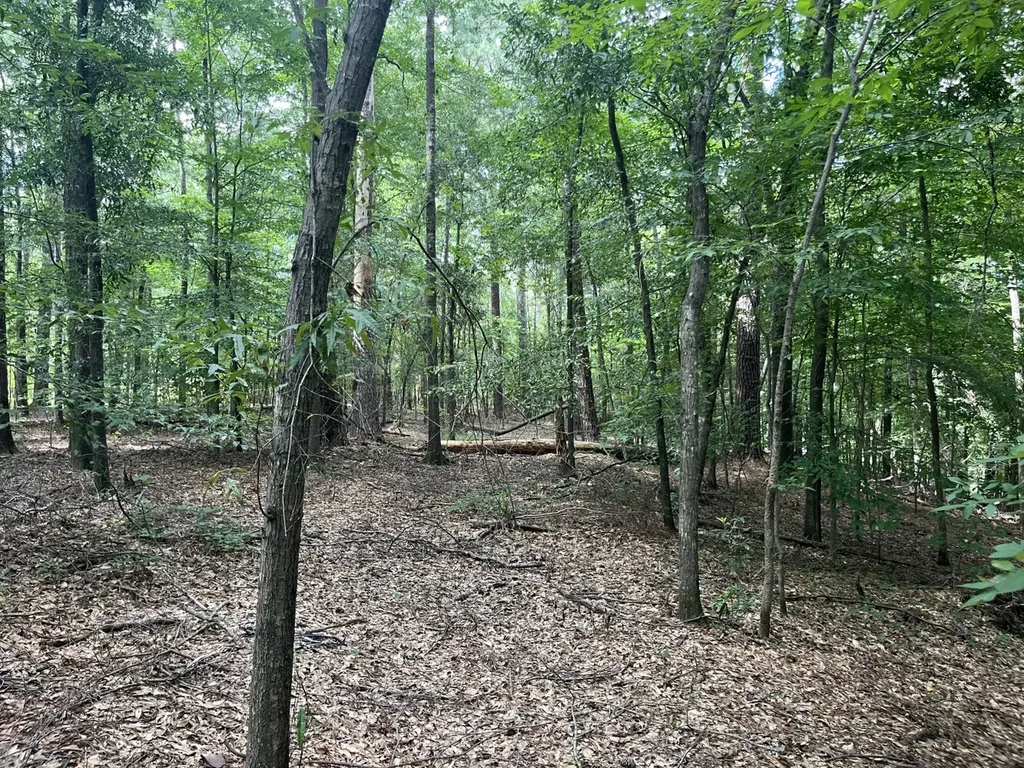 0 Grandview Drive Northport AL 35475
