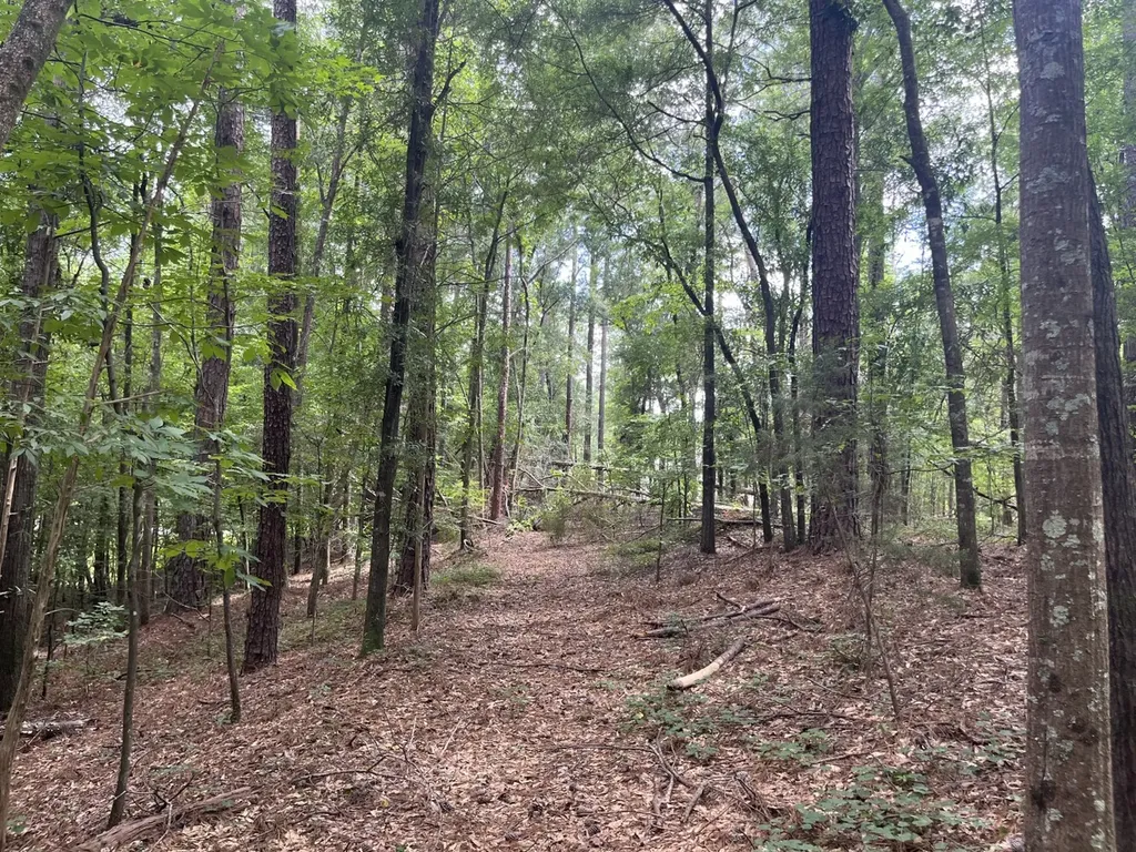 0 Grandview Drive Northport AL 35475