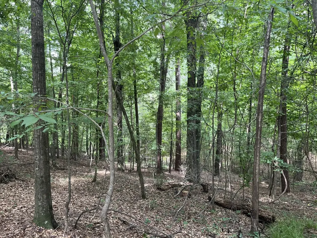 0 Grandview Drive Northport AL 35475