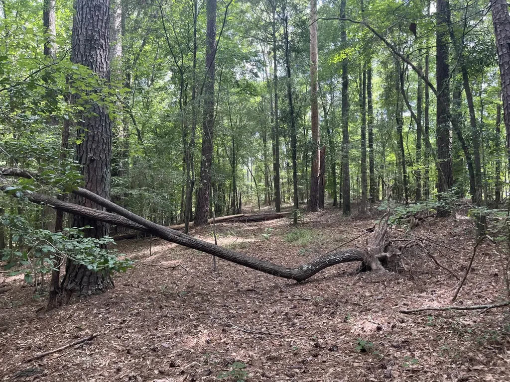 0 Grandview Drive Northport AL 35475