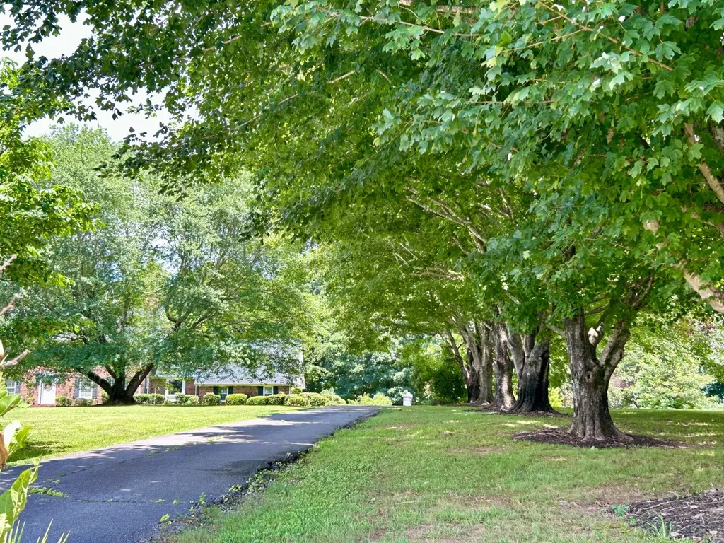 3871 County Road 30 Florence AL 35634