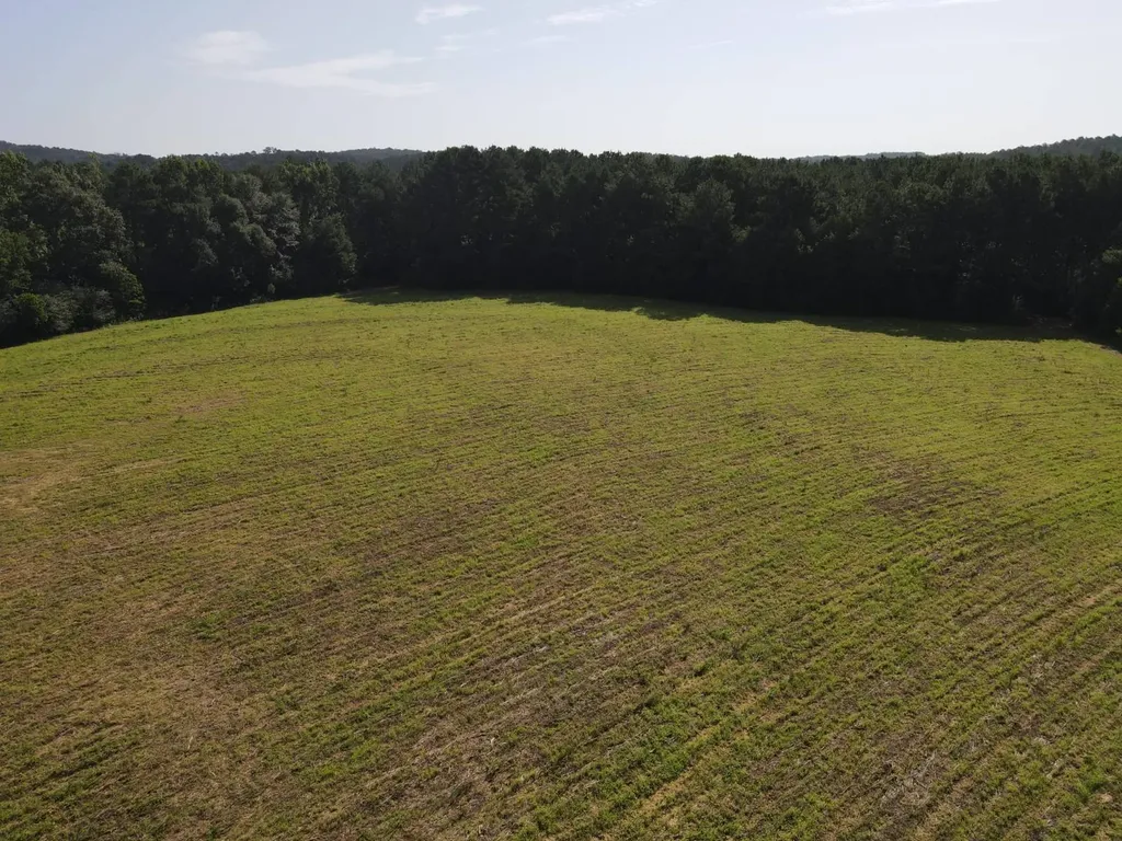 0 County Road 235 Elba AL 36323