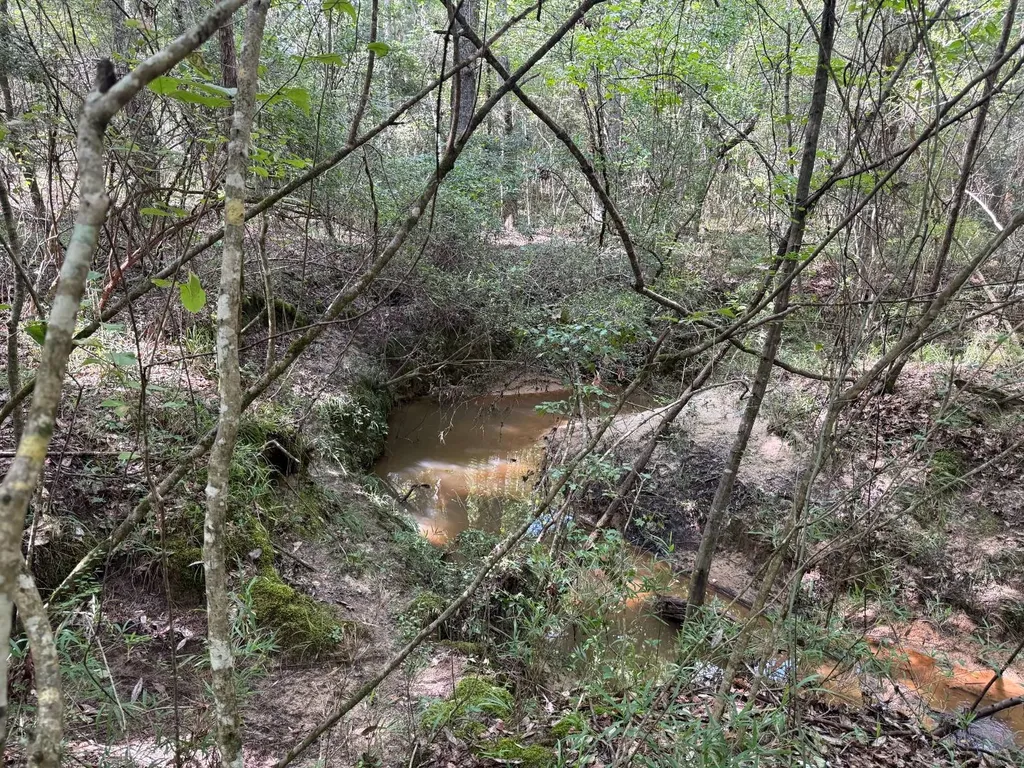 0 County Road 235 Elba AL 36323