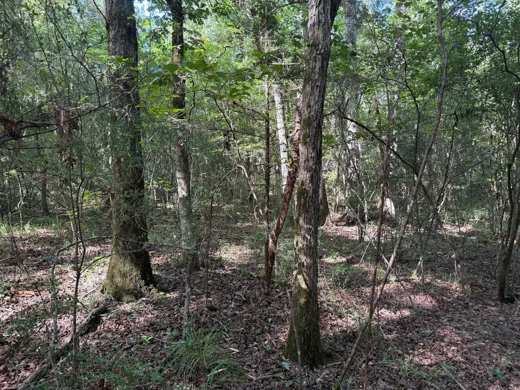 0 County Road 235 Elba AL 36323