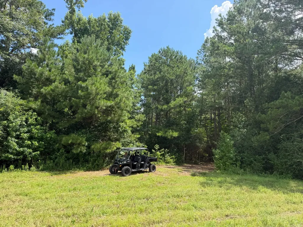 0 County Road 235 Elba AL 36323
