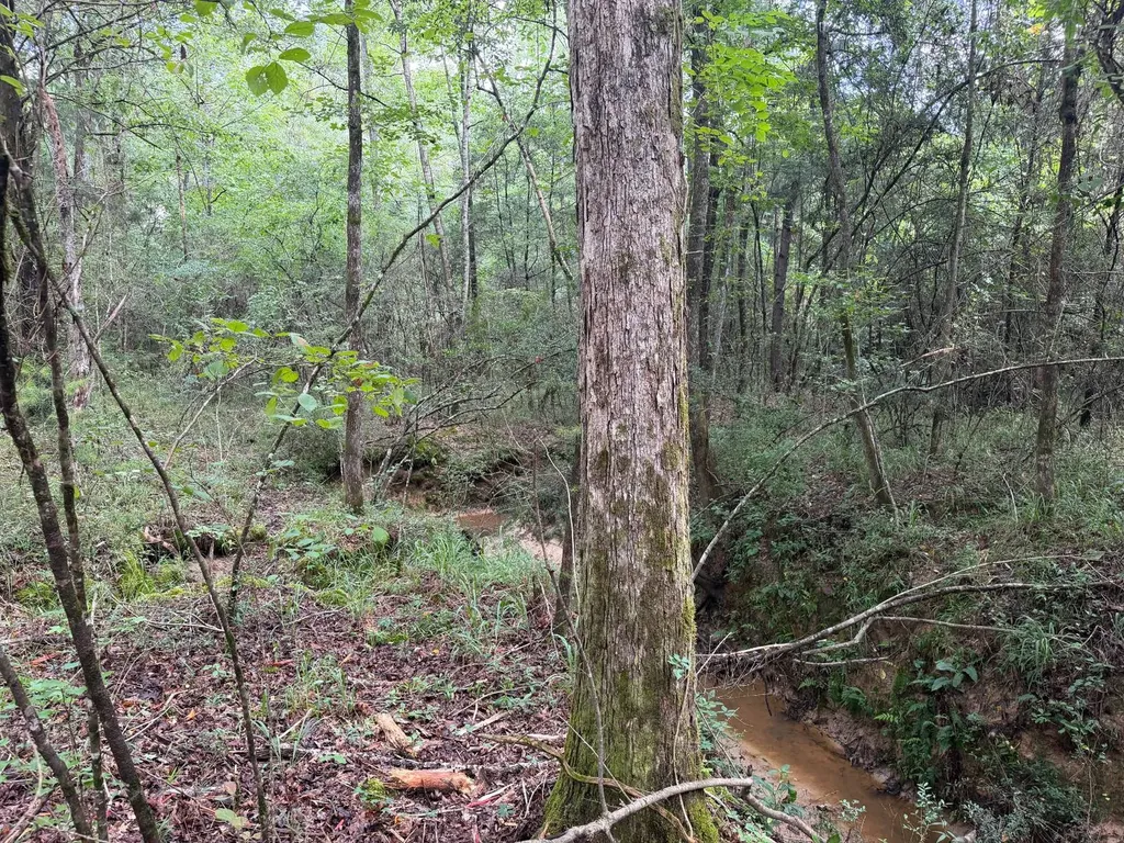0 County Road 235 Elba AL 36323