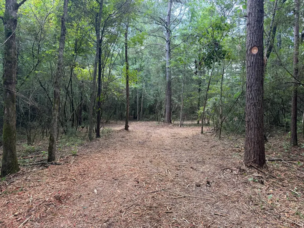 0 County Road 235 Elba AL 36323