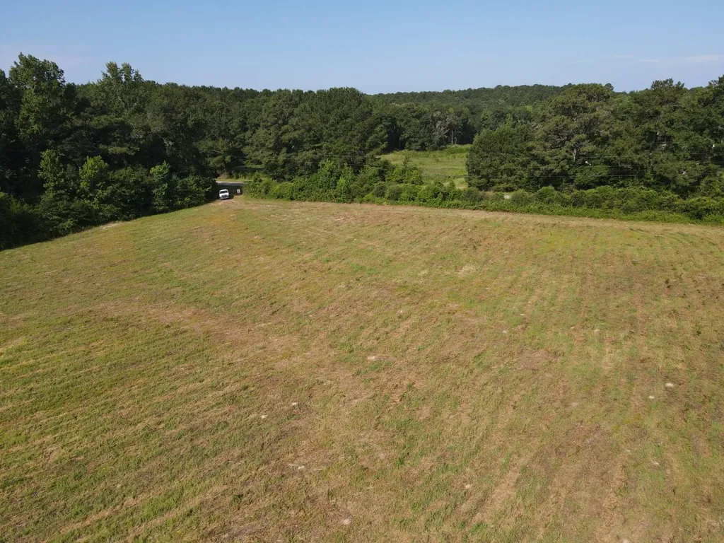 0 County Road 235 Elba AL 36323