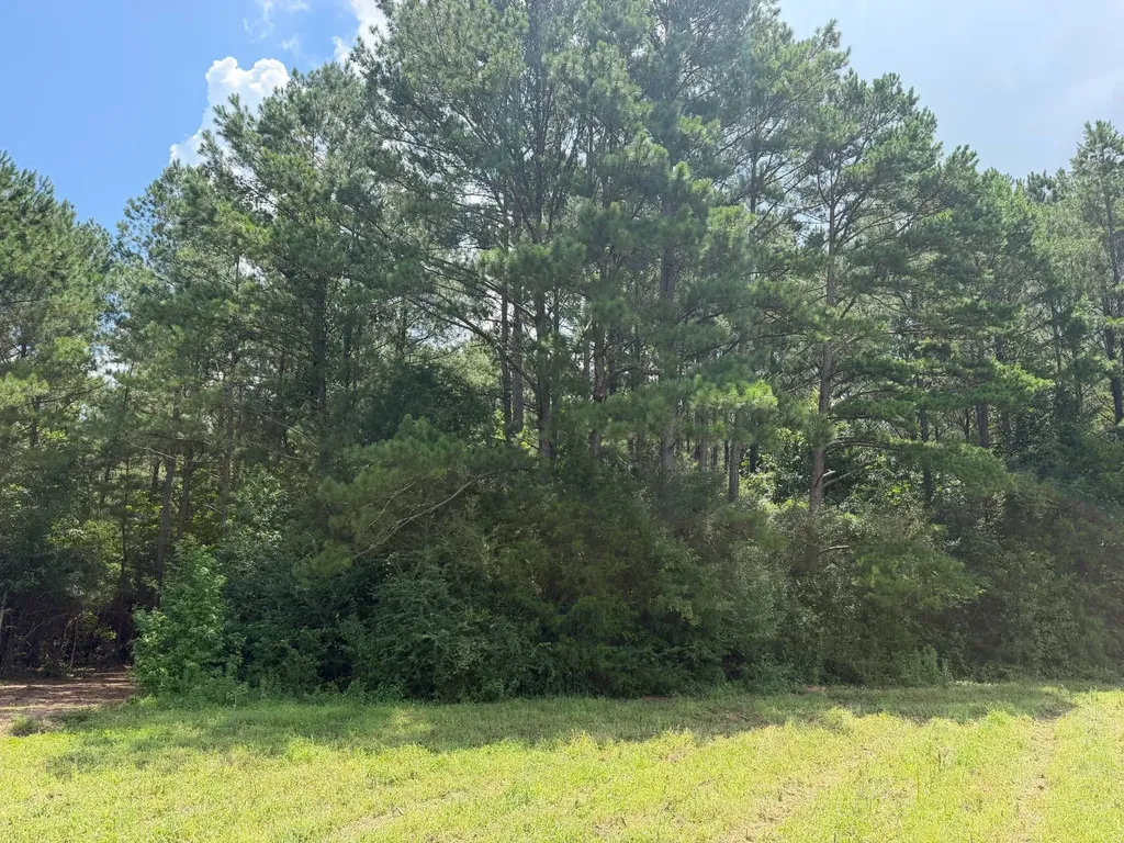 0 County Road 235 Elba AL 36323