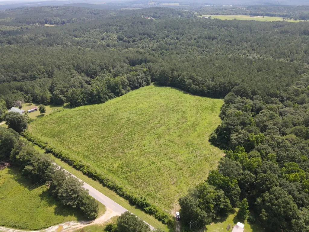0 County Road 235 Elba AL 36323