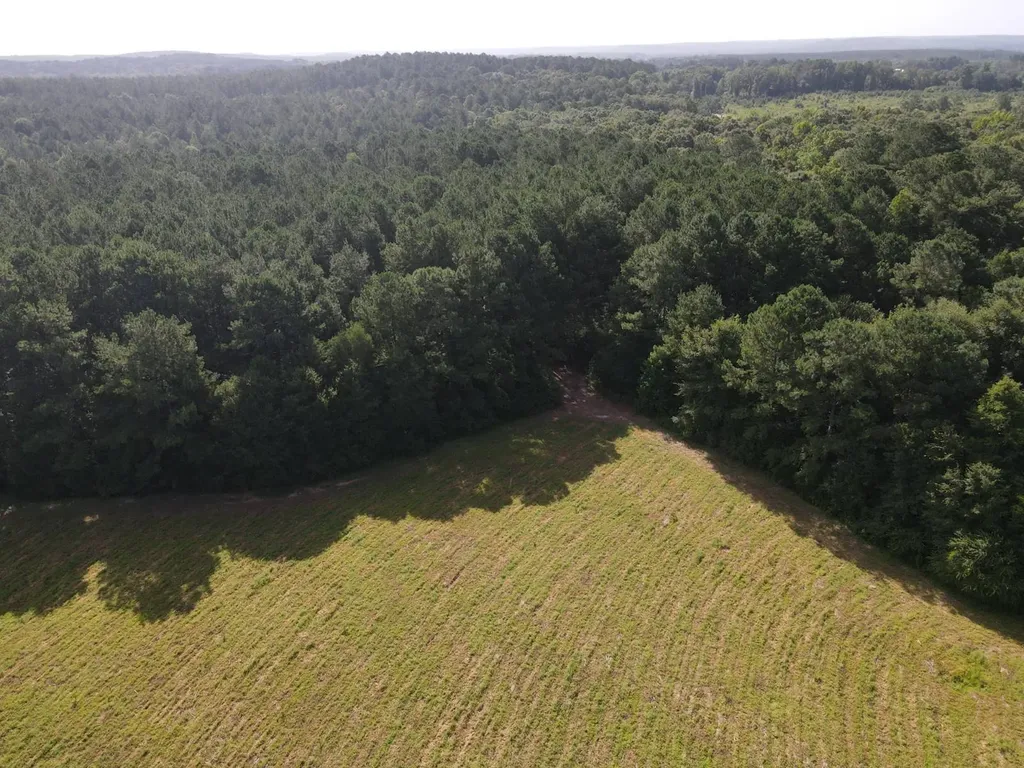 0 County Road 235 Elba AL 36323