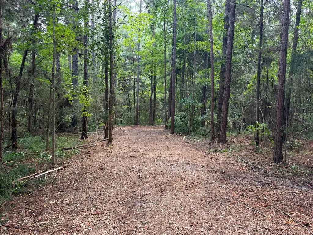 0 County Road 235 Elba AL 36323