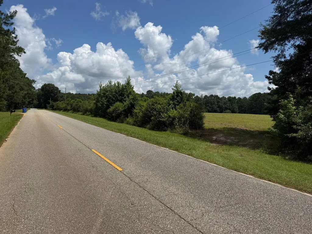 0 County Road 235 Elba AL 36323