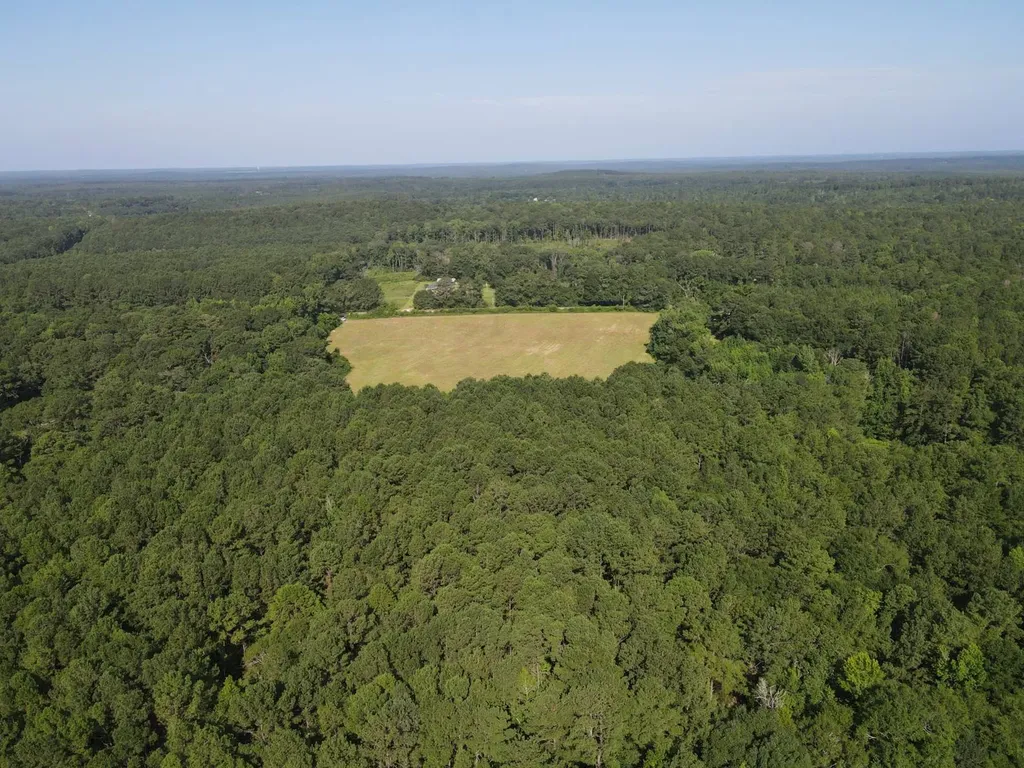 0 County Road 235 Elba AL 36323