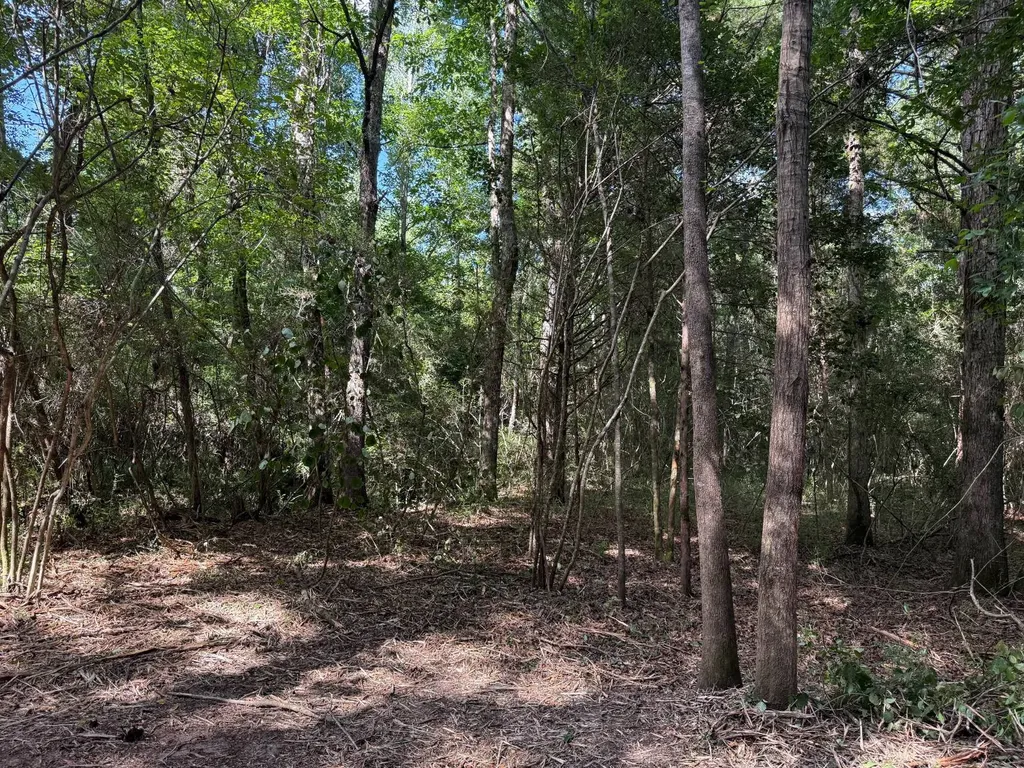 0 County Road 235 Elba AL 36323