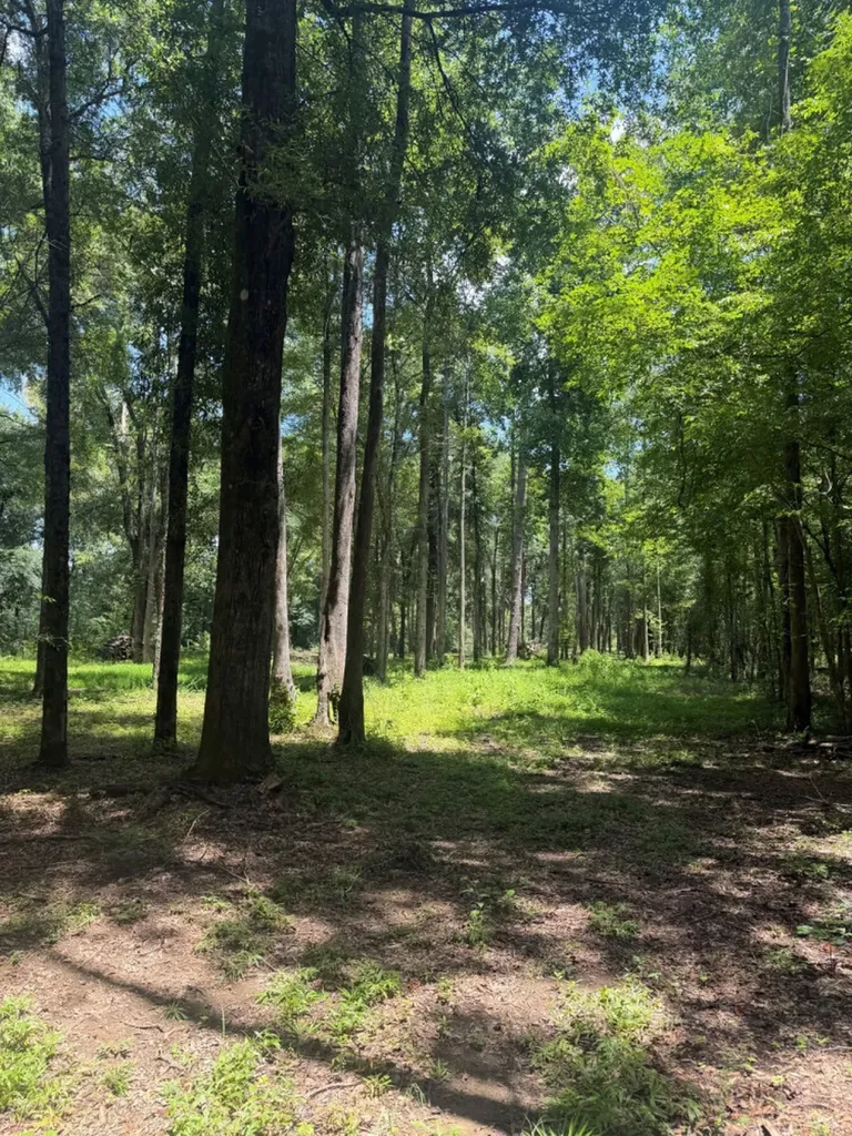 The Retreat At Riverside Ranch Berry AL 35546