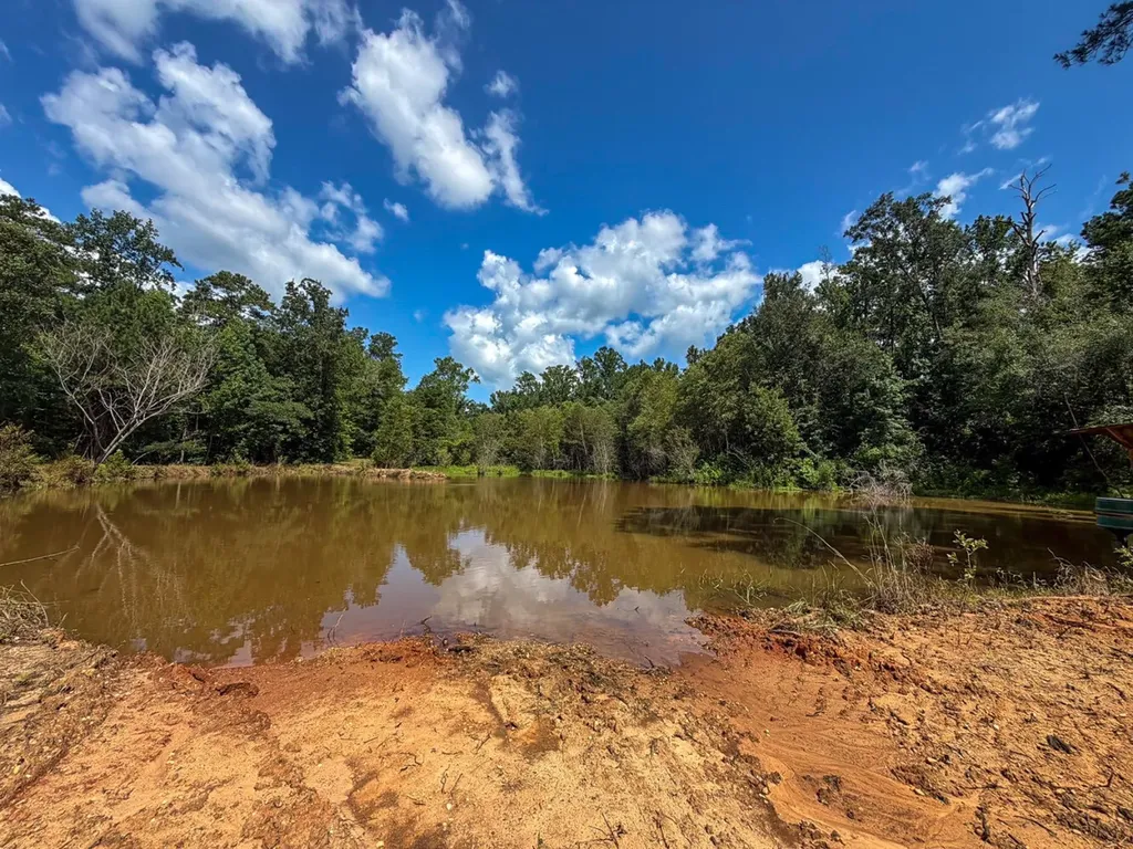 1025 Co Road 83 Burnsville AL 36703
