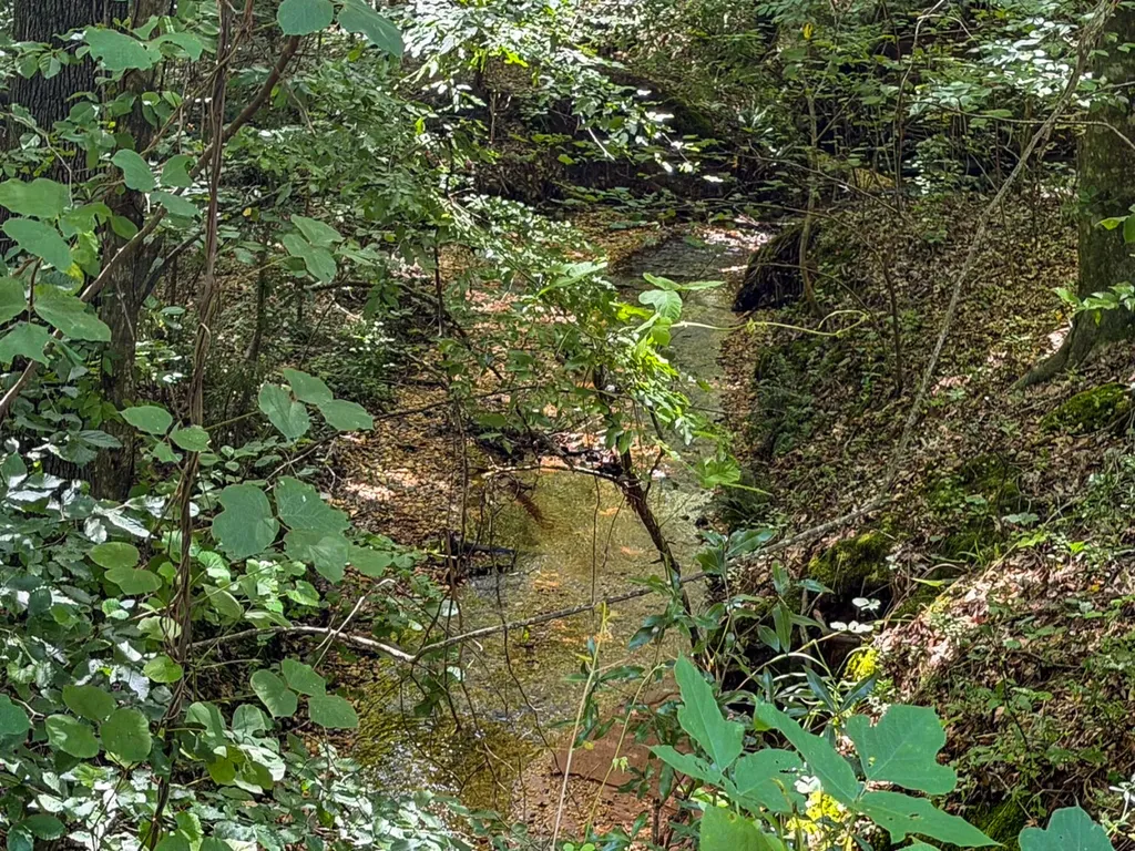 1025 Co Road 83 Burnsville AL 36703
