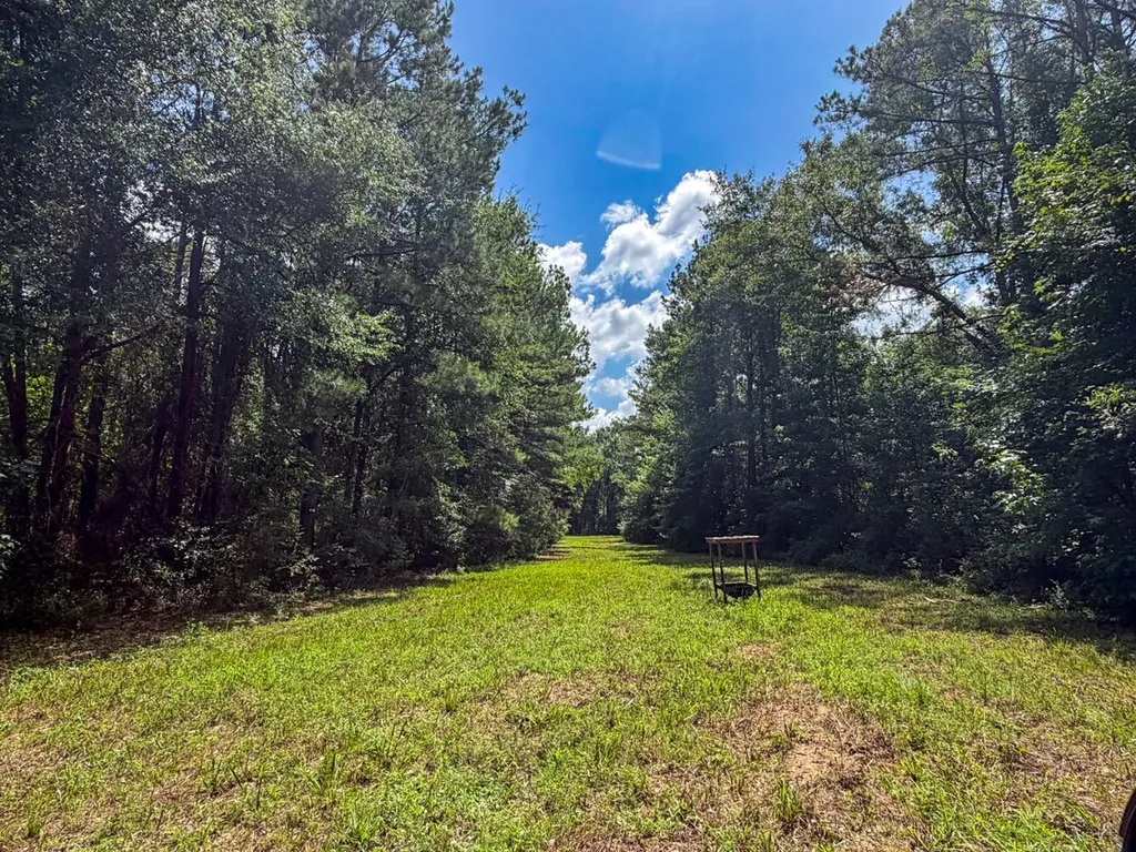 1025 Co Road 83 Burnsville AL 36703