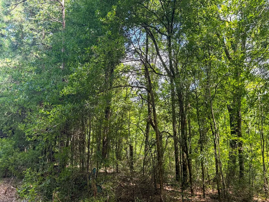 1025 Co Road 83 Burnsville AL 36703