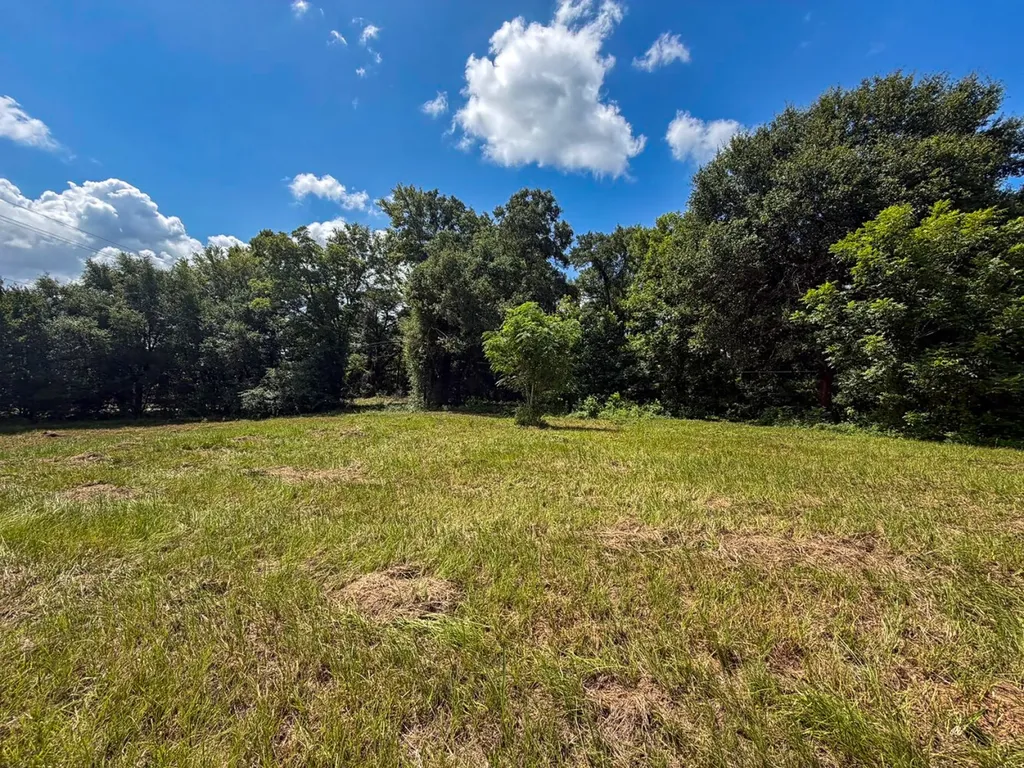 1025 Co Road 83 Burnsville AL 36703