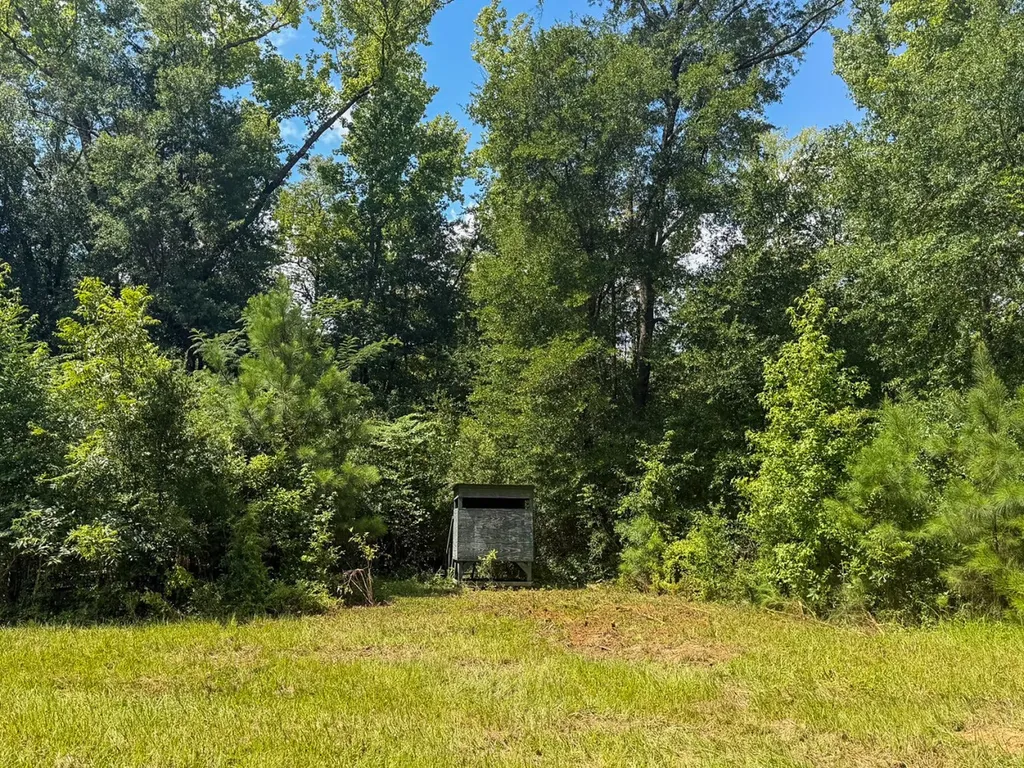 1025 Co Road 83 Burnsville AL 36703