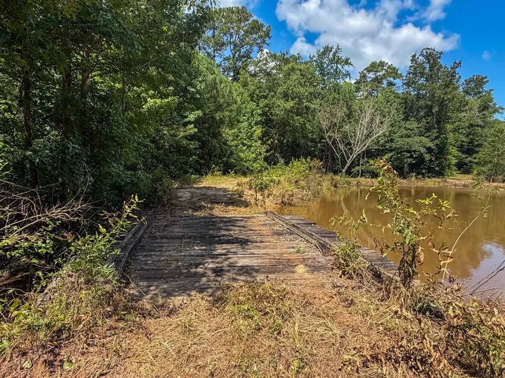 1025 Co Road 83 Burnsville AL 36703