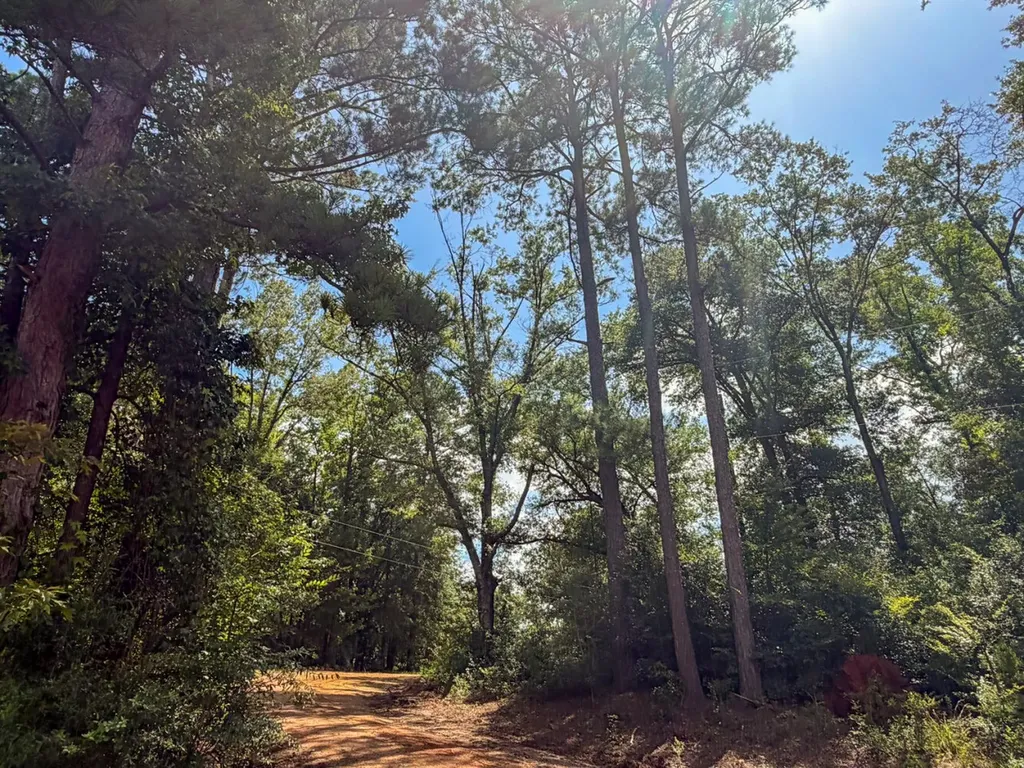 1025 Co Road 83 Burnsville AL 36703