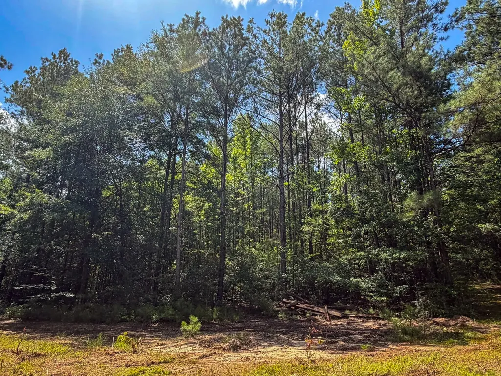 1025 Co Road 83 Burnsville AL 36703