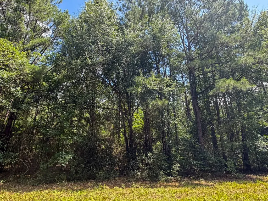 1025 Co Road 83 Burnsville AL 36703