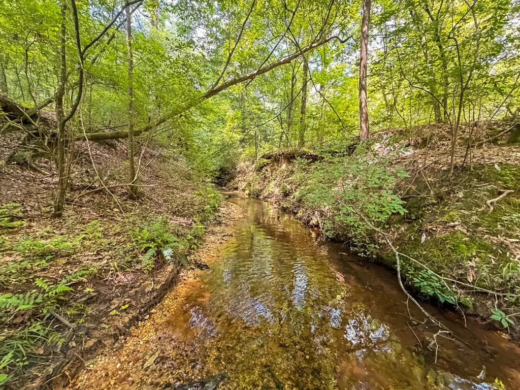 1025 Co Road 83 Burnsville AL 36703