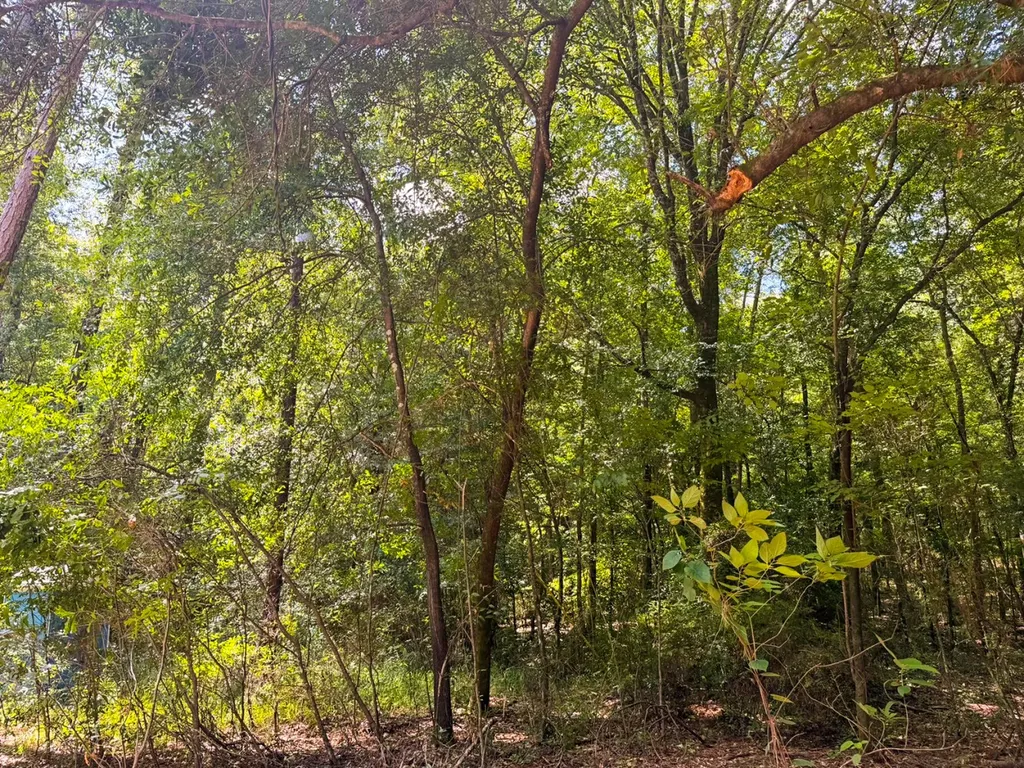 1025 Co Road 83 Burnsville AL 36703