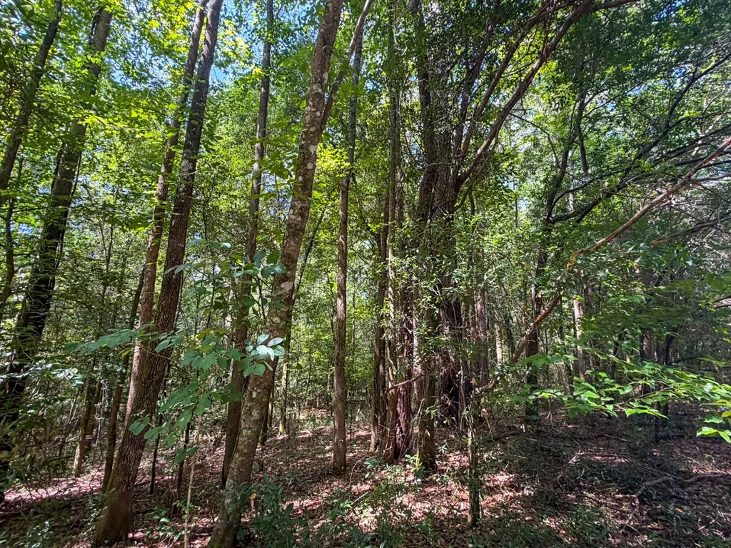1025 Co Road 83 Burnsville AL 36703