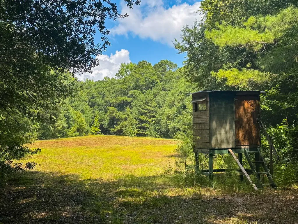 1025 Co Road 83 Burnsville AL 36703