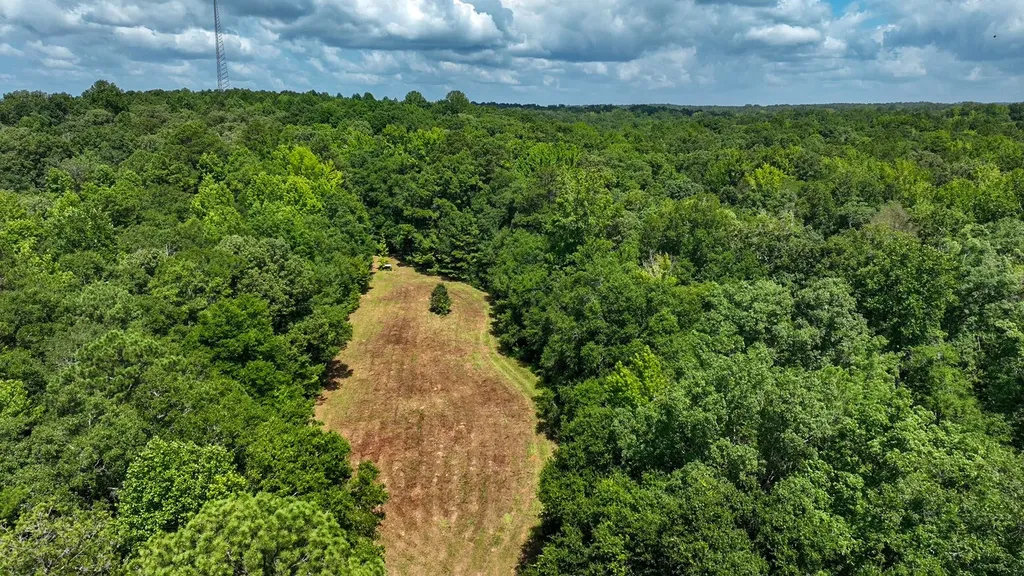 1025 Co Road 83 Burnsville AL 36703
