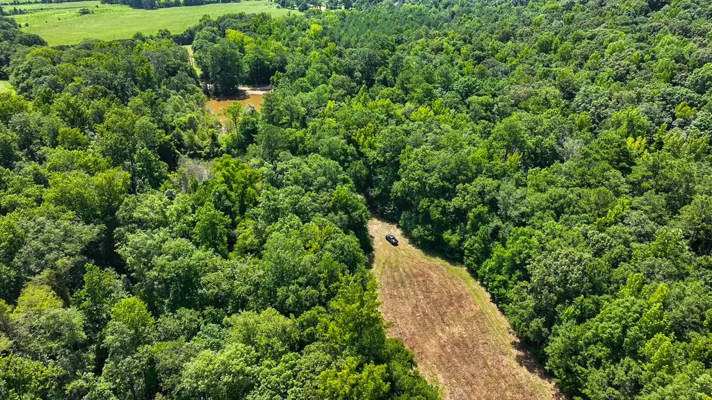 1025 Co Road 83 Burnsville AL 36703